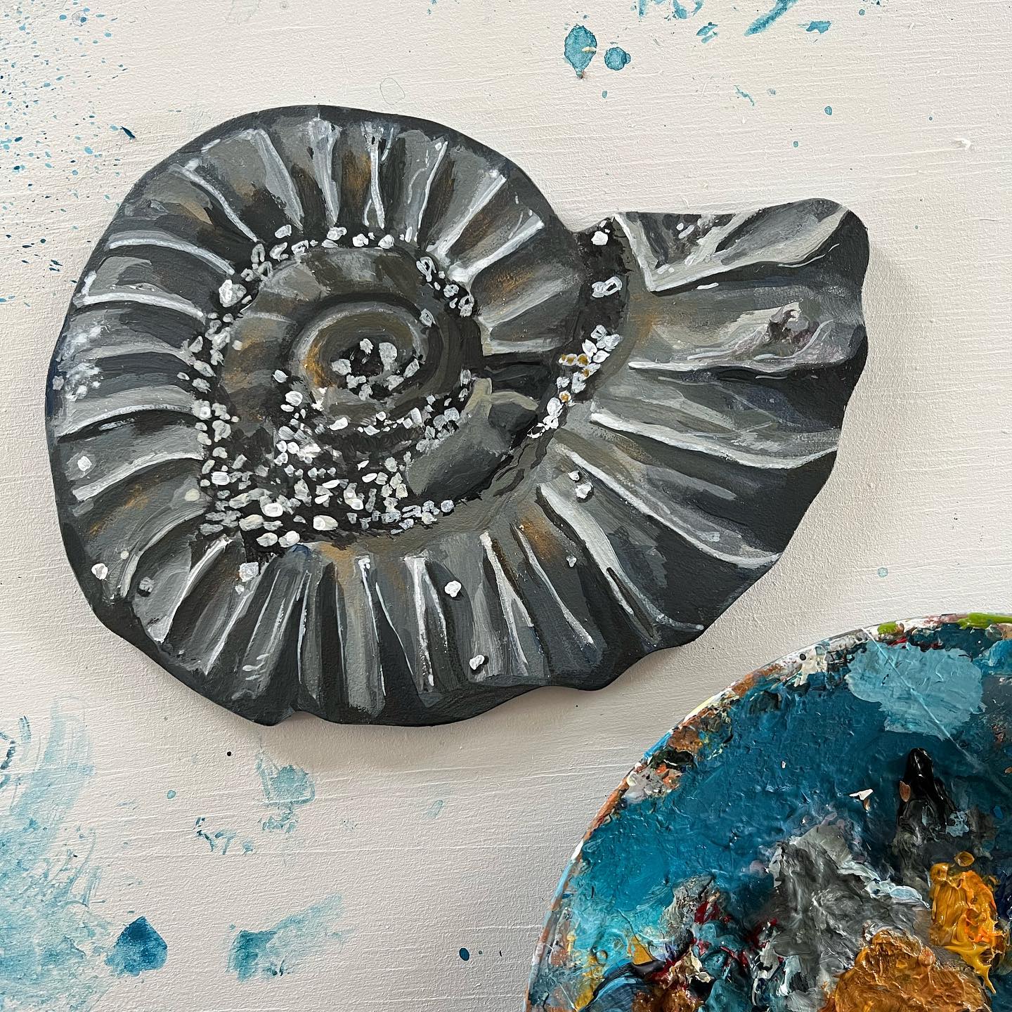 Ammonites, fossils and pyrite from Jurassic coast in England, Dorset and Devon, Lyme Regis, Charmouth beach. www.Fenne.be