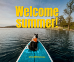 Welcome summer, summer solstice 2022, sup dog, paddling dog, nordic nature Sweden, outdoors with dogs, www.DOGvision.eu