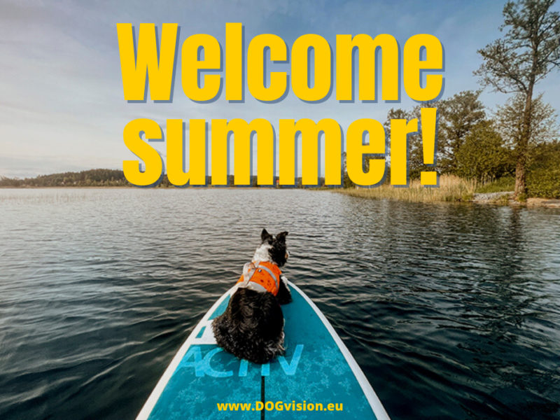 Welcome summer, summer solstice 2022, sup dog, paddling dog, nordic nature Sweden, outdoors with dogs, www.DOGvision.eu