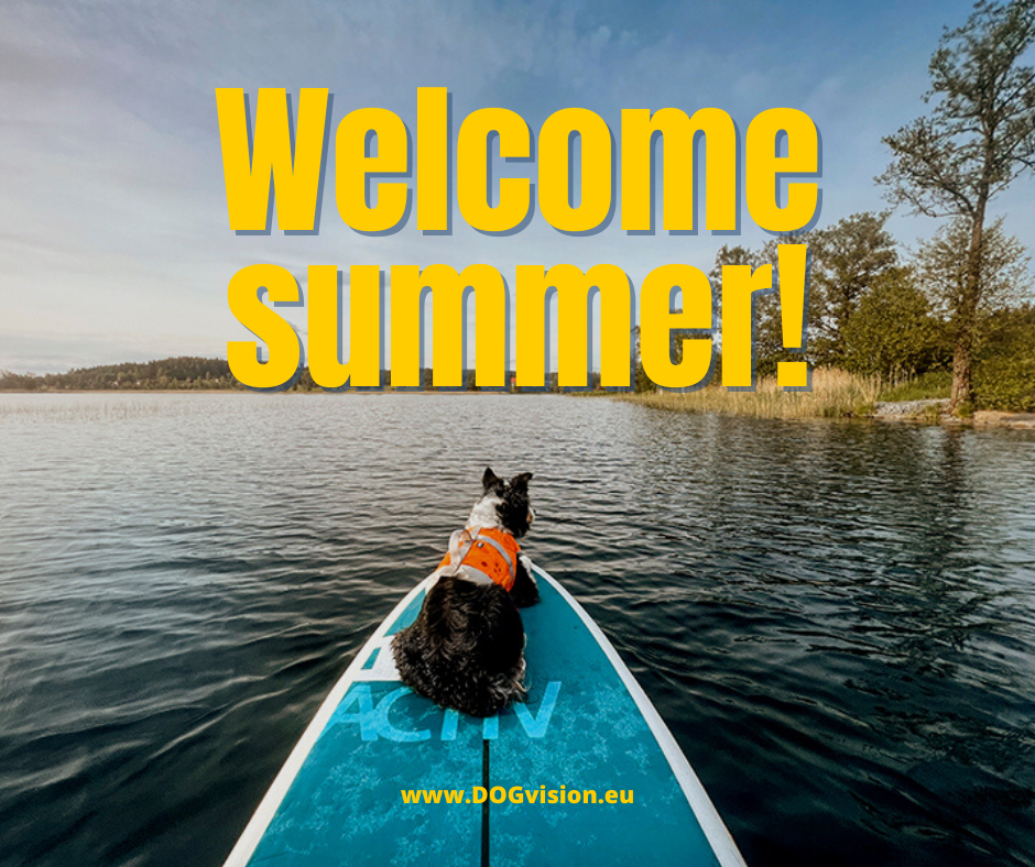 Welcome summer, summer solstice 2022, sup dog, paddling dog, nordic nature Sweden, outdoors with dogs, www.DOGvision.eu