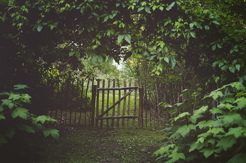 Swedish summer garden, www.Fenne.be