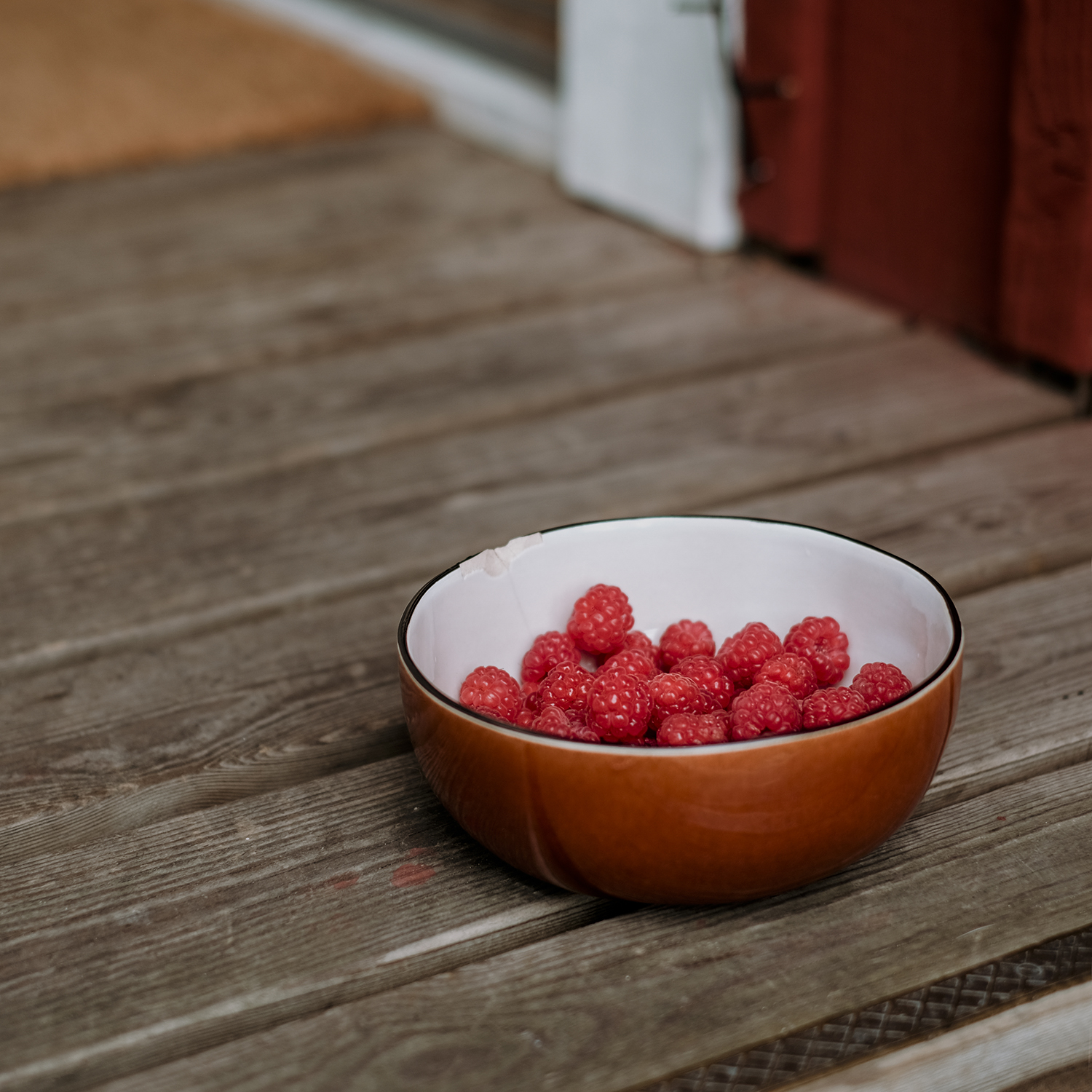 Summer snacks from the garden, gardening, fruit and vegetables, Swedish garden, www.Fenne.be