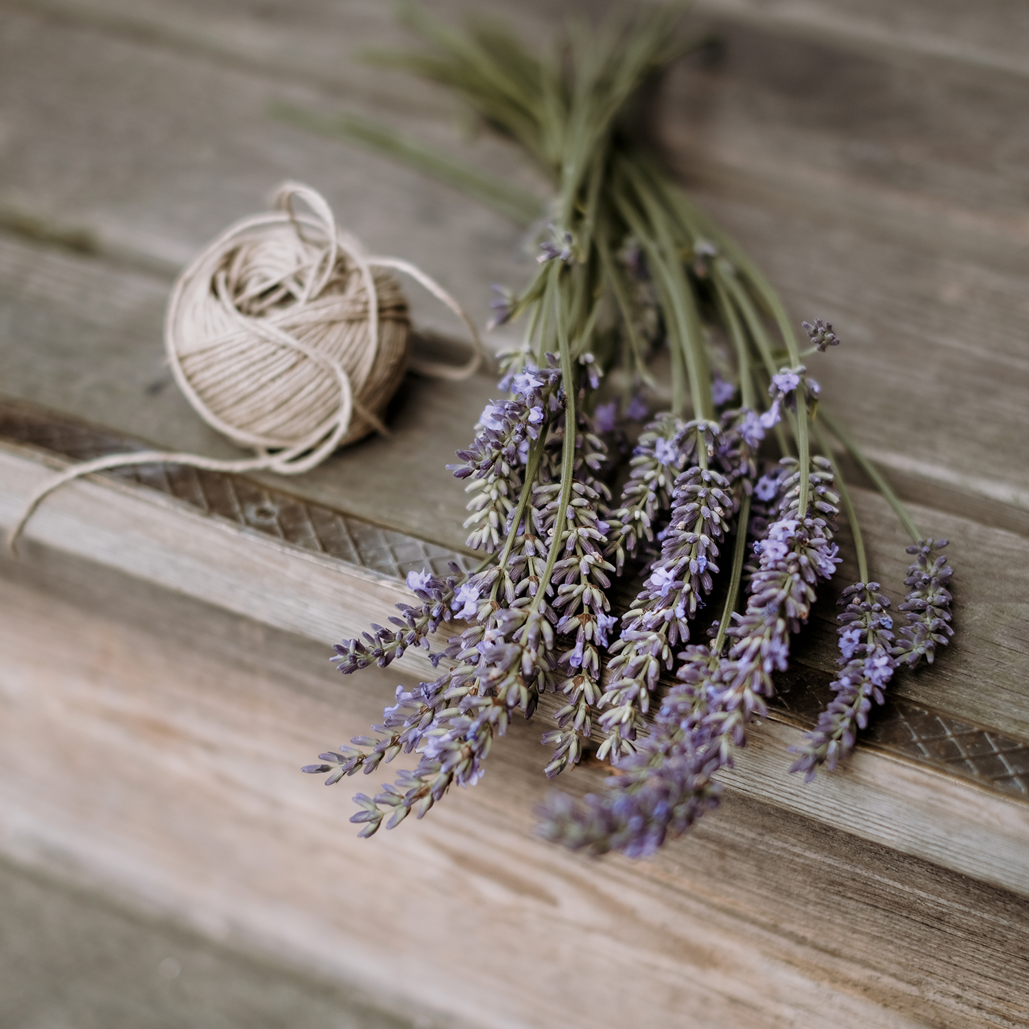 Summer snacks from the garden, gardening, fruit and vegetables, Swedish garden, www.Fenne.be