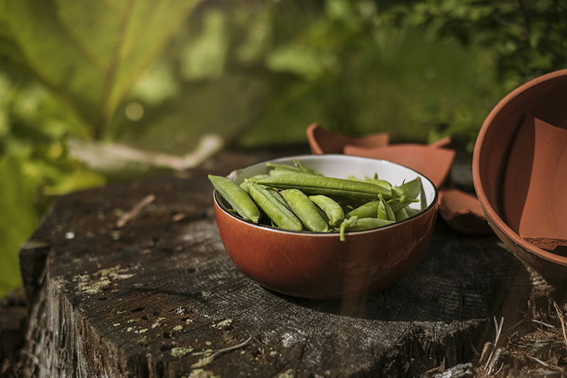 Summer snacks from the garden, gardening, fruit and vegetables, Swedish garden, www.Fenne.be