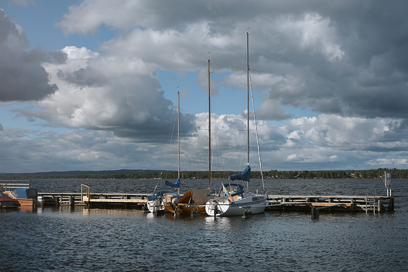 On the road with dogs in Dalarna Sweden, Siljan lake, Rättvik, www.Fenne.be