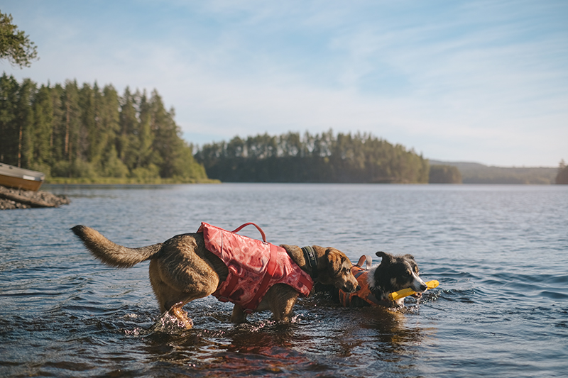 Morgondopp, early morning lake swimming in Sweden, the ultimate feeling of freedom, www.Fenne.be