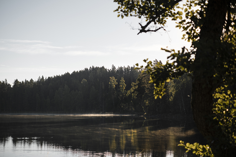 Sup & sunset, camping with the Volkswagen California in Sweden, paddling the lake, www.Fenne.be