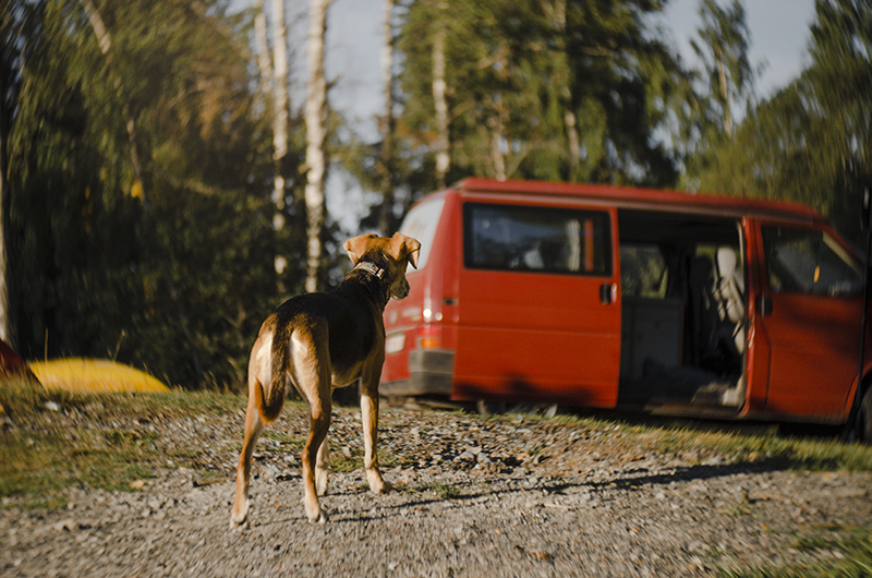 Sup & sunset, camping with the Volkswagen California in Sweden, paddling the lake, www.Fenne.be