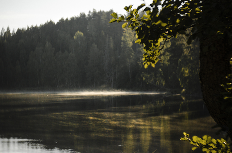 Sup & sunset, camping with the Volkswagen California in Sweden, paddling the lake, www.Fenne.be