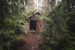 Traveling and camping with dogs, Kolarbyn eco lodge Sweden, primitive cabins, Border Collie, nature photography, eco tourism , www.Fenne.be