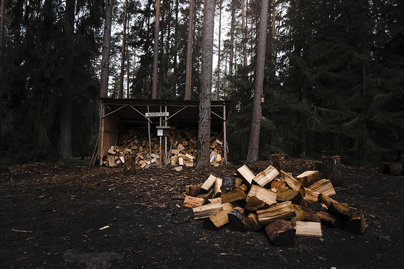 Traveling and camping with dogs, Kolarbyn eco-lodge Sweden, primitive cabins, Border Collie, nature photography, eco-tourism, www.Fenne.be