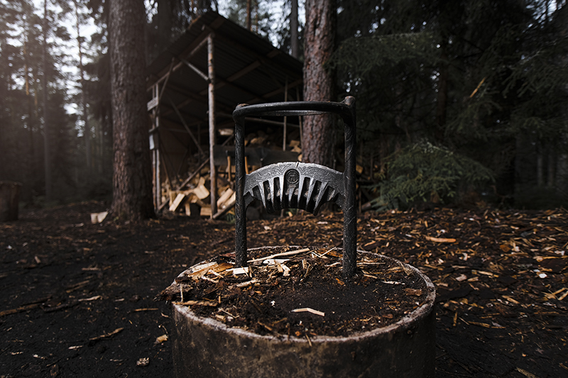 Traveling and camping with dogs, Kolarbyn eco-lodge Sweden, primitive cabins, Border Collie, nature photography, eco-tourism, www.Fenne.be