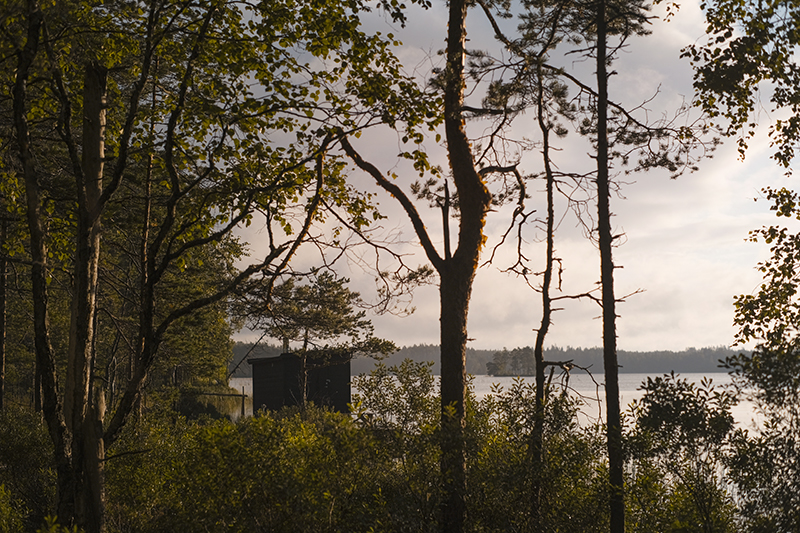 Traveling and camping with dogs, Kolarbyn eco-lodge Sweden, primitive cabins, Border Collie, nature photography, eco-tourism, www.Fenne.be