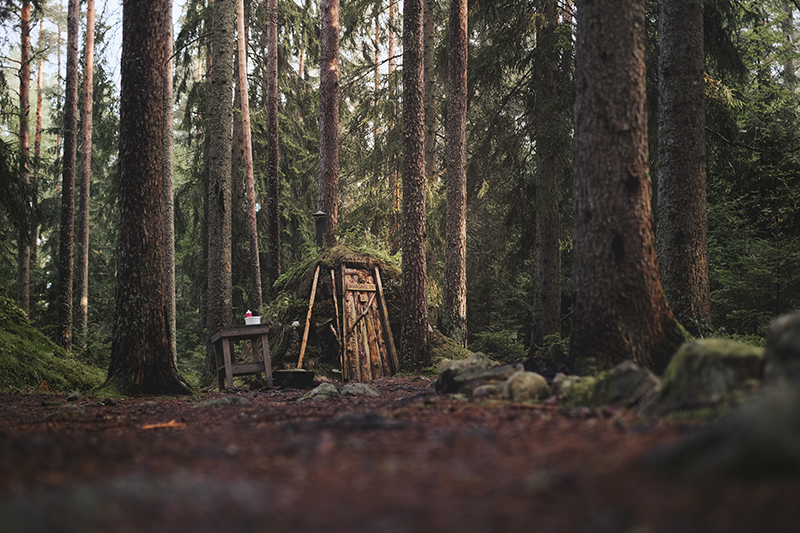Traveling and camping with dogs, Kolarbyn eco-lodge Sweden, primitive cabins, Border Collie, nature photography, eco-tourism, www.Fenne.be