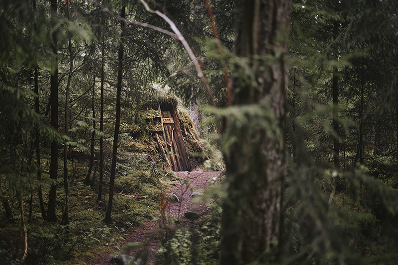 Traveling and camping with dogs, Kolarbyn eco-lodge Sweden, primitive cabins, Border Collie, nature photography, eco-tourism, www.Fenne.be