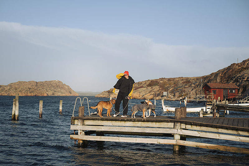 Traveling Sweden with dogs, nature photography, hiking with dogs, airbnb home, Hamburgsö, Bohuslän, www.Fenne.be