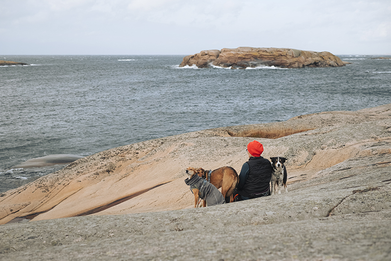 Traveling Sweden with dogs, nature photography, hiking with dogs, airbnb home, Hamburgsö, Bohuslän, www.Fenne.be