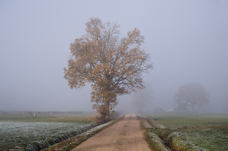 Belgium, Vorselaar, natuurpunt wandeling, www.Fenne.be