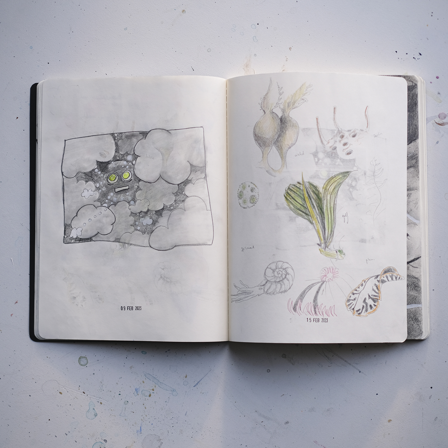 Inside my sketchbook, moleskine sketchbook, illustration, illustrator, pencil drawings, daily sketching, www.Fenne.be