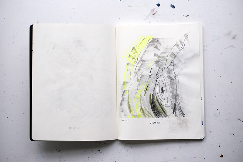 Inside my sketchbook, moleskine sketchbook, illustration, illustrator, pencil drawings, daily sketching, www.Fenne.be