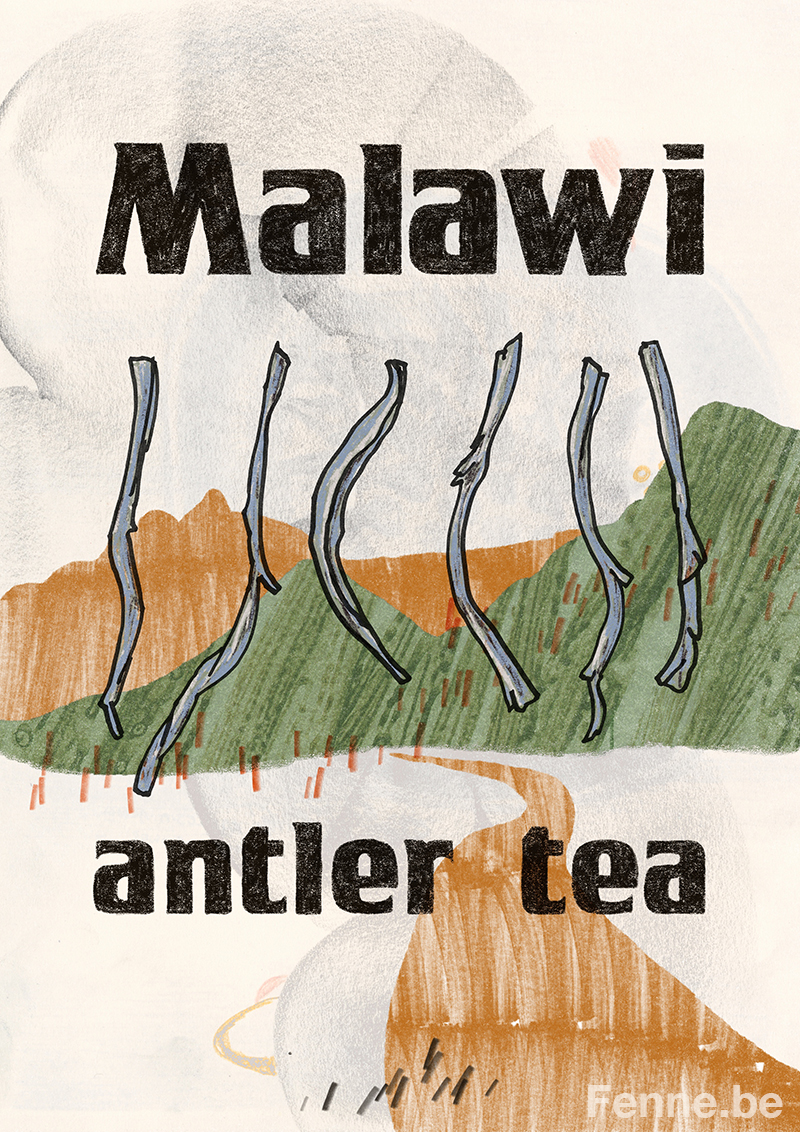 Malawi Antler tea, rare tea from Africa illustration, tea lover, international tea day, procreate tea illustration, www.Fenne.be