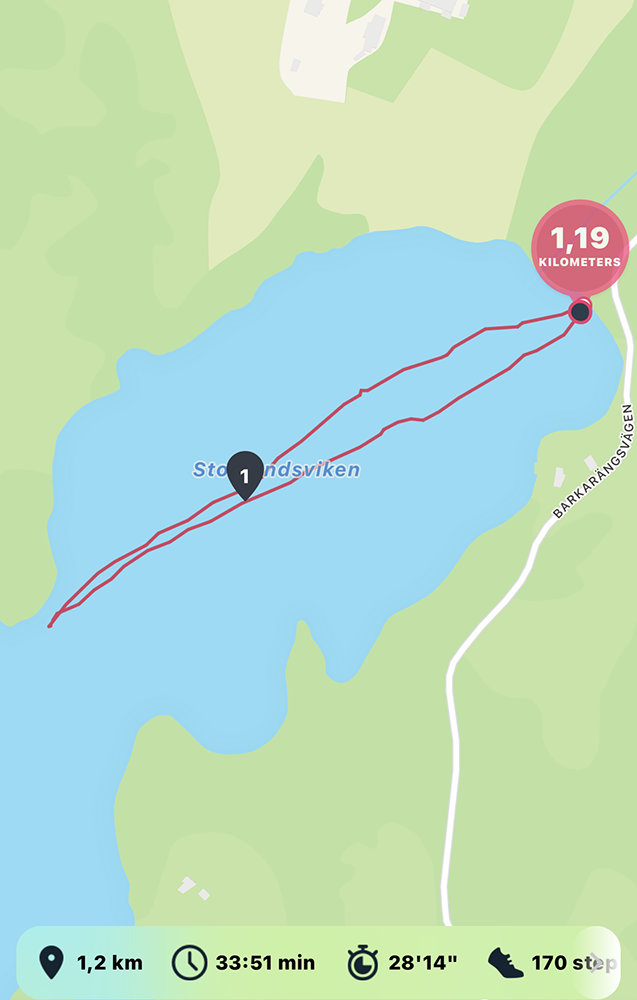 Open water lake swimming, fitbit watch, www.Fenne.be