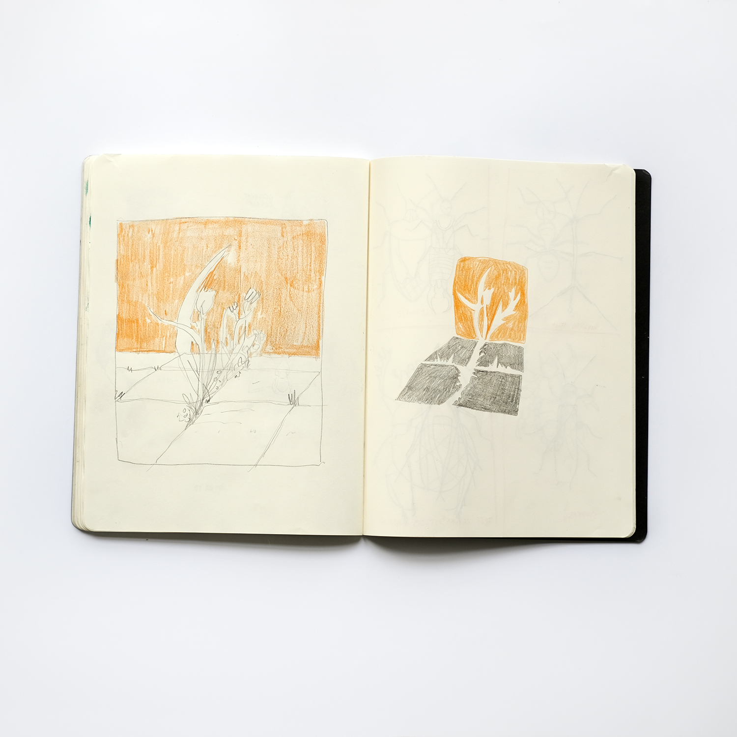 Sketchbook July 2023, illustration artist Sweden/Belgium, Moleksine sketchbooks, www.Fenne.be