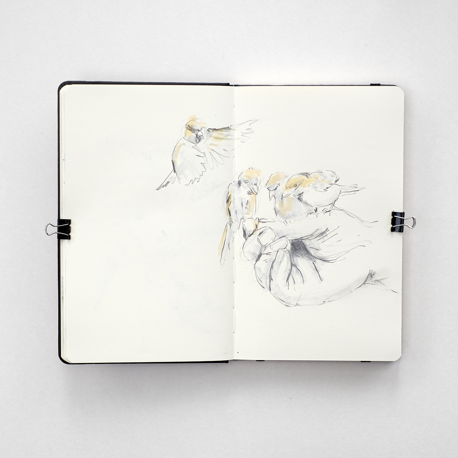 Illustrator's sketchbook, Moleskine and Royal Talens sketchbooks, mixed media sketches, www.Fenne.be