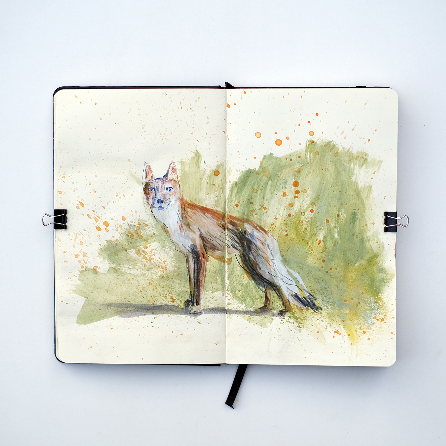 Endangered sketchbook challenge with TJ Marston on Patreon, mixed media sketchbook artist, www.Fenne.be