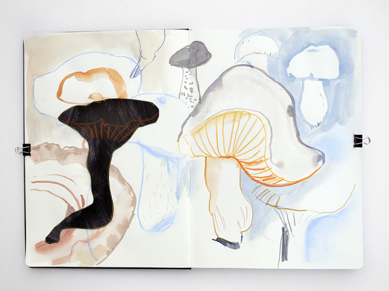 Sketchbook October, daily sketchbook practice, European sketchbook artist, mixed media art, illustration artist, drawing practice, www.Fenne.be