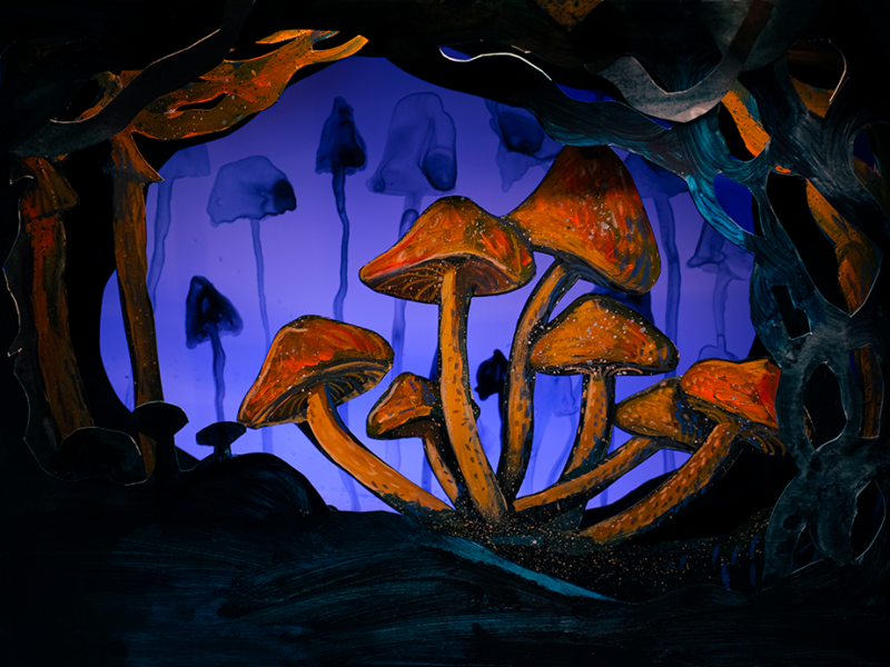 3D illustrated mushrooms photograph with contrast colors, www.Fenne.be