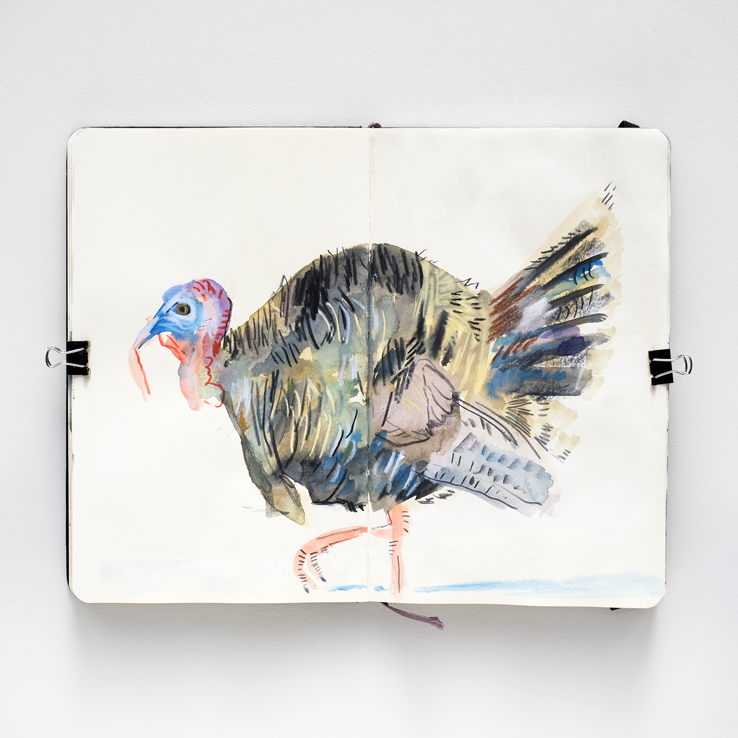 Fenne Kustermans sketchbook November, Turkeys, illustration, www.Fenne.be