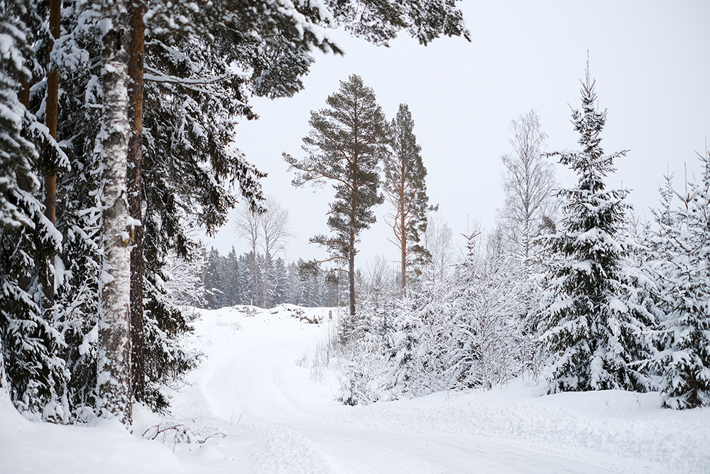 Winter solstice in Sweden, winter aesthetic, hygge, snow landscape, www.Fenne.be