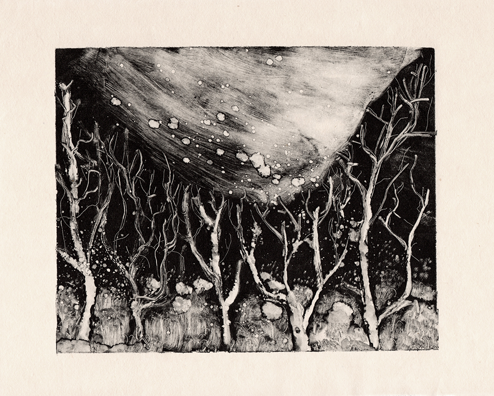 dark field method on copper plate, printmaking technique,  nature inspired illustration, www.Fenne.be