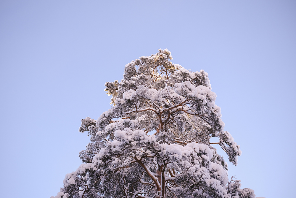 Dalarna Sweden, winter wonderland, visit Dalarna vinter, Nordic nature photography, www.Fenne.be