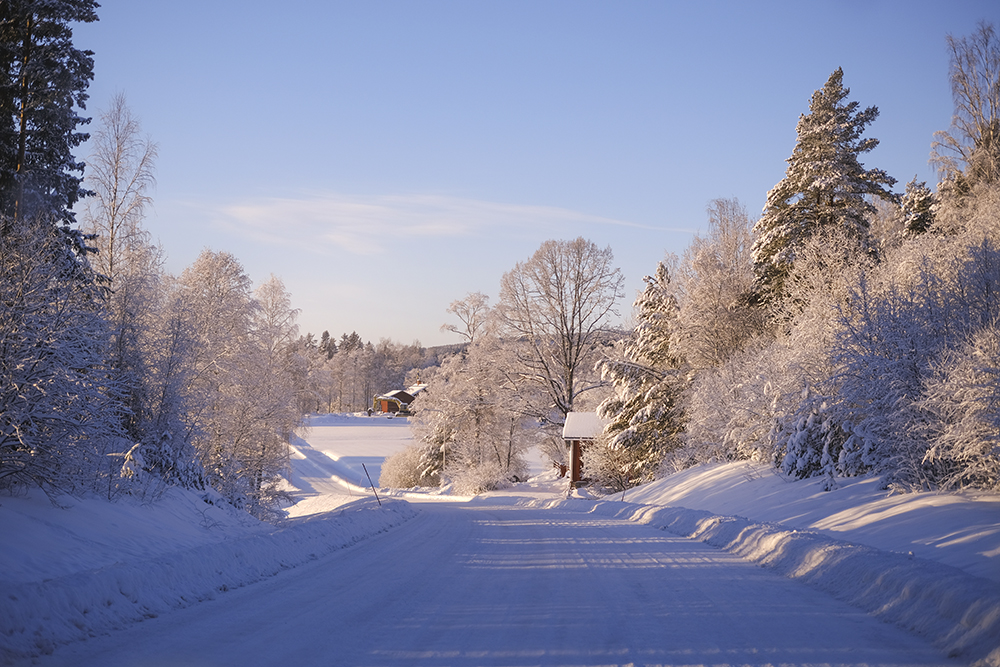 Dalarna Sweden, winter wonderland, visit Dalarna vinter, Nordic nature photography, www.Fenne.be