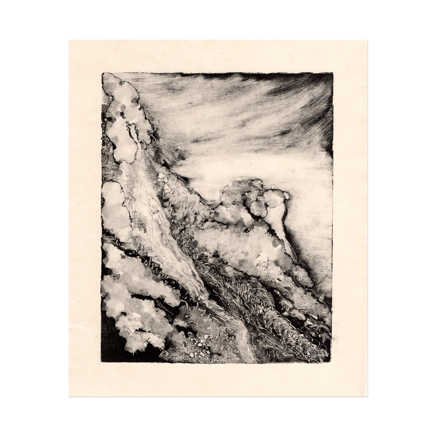 dark field method on copper plate, printmaking technique,  nature inspired illustration, www.Fenne.be