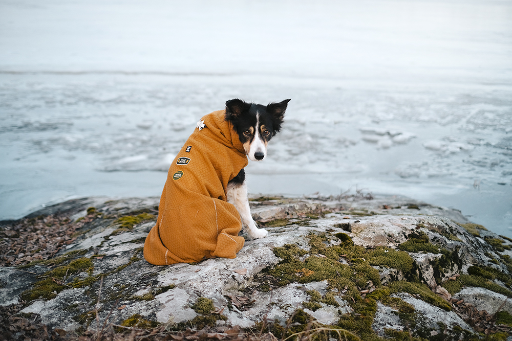 Textures of early spring, photo documentary, Sweden, Nordic spring, frozen lake, www.Fenne.be