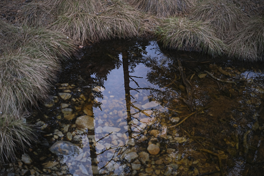 Textures of early spring, photo documentary, Sweden, Nordic spring, frozen lake, www.Fenne.be