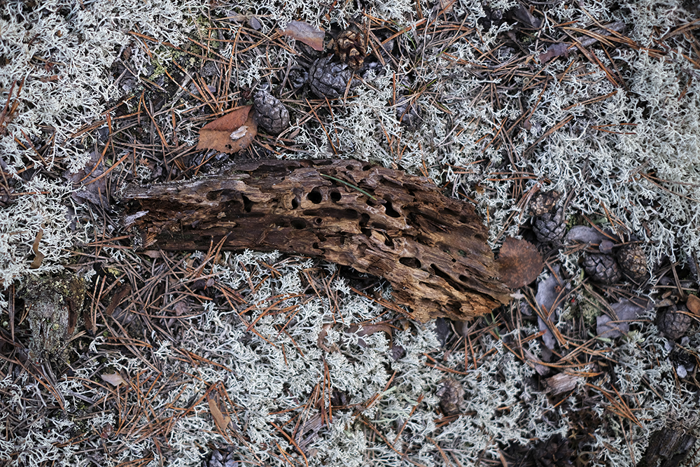 Textures of early spring, photo documentary, Sweden, Nordic spring, frozen lake, www.Fenne.be