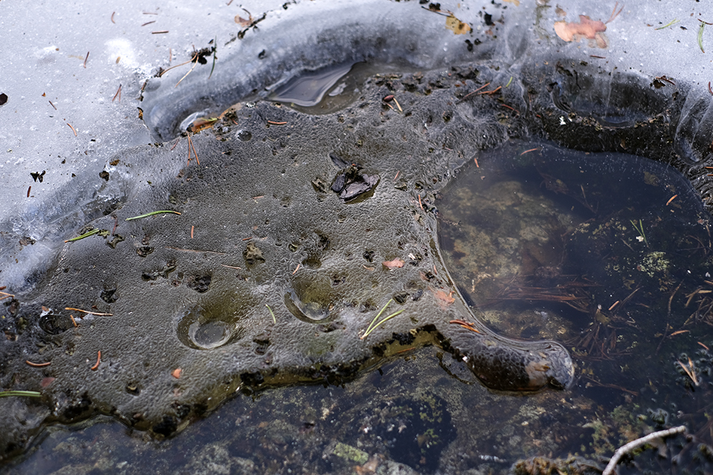 Textures of early spring, photo documentary, Sweden, Nordic spring, frozen lake, www.Fenne.be