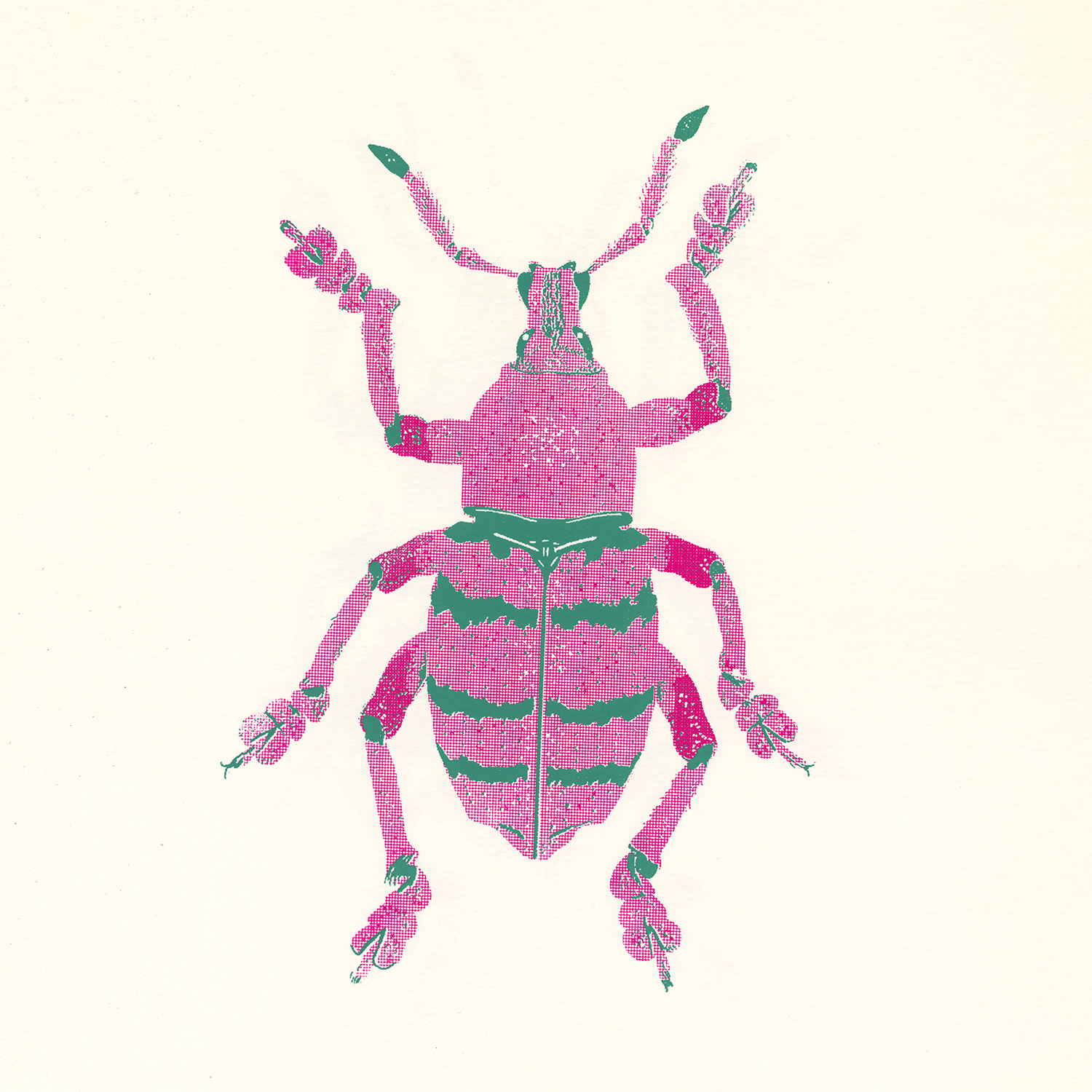 Pressing matters screen printed insect feature, www.Fenne.be