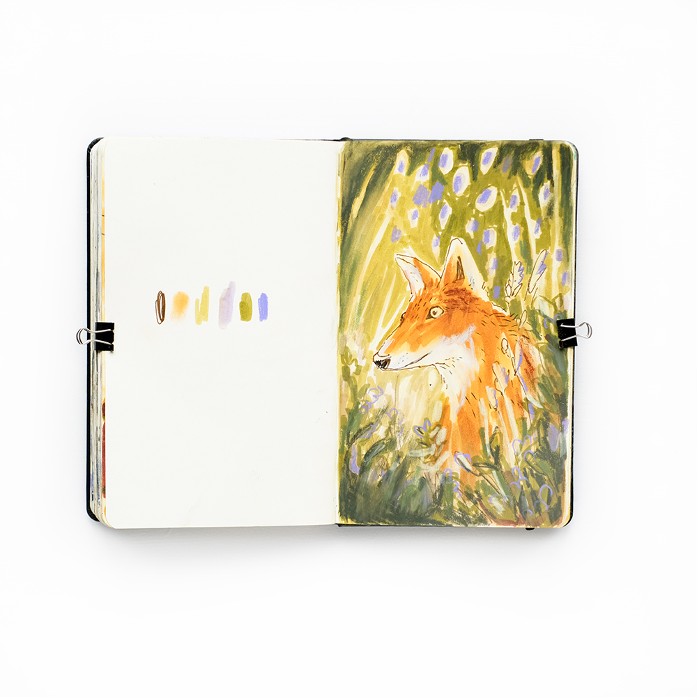 Fenne Kustermans, Illusrator's setchbook, www.Fenne.be