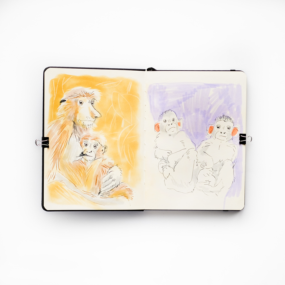 Fenne Kustermans, Illusrator's setchbook, www.Fenne.be