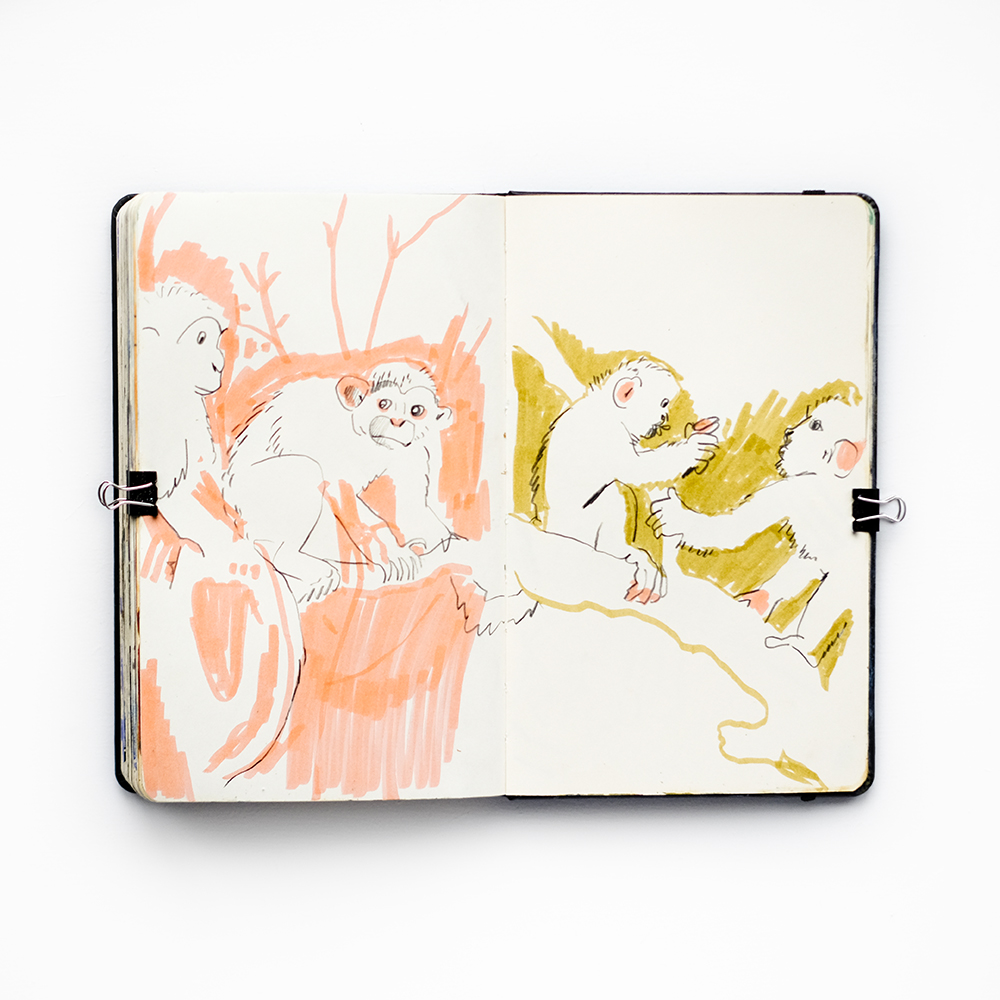 Fenne Kustermans, Illusrator's setchbook, www.Fenne.be