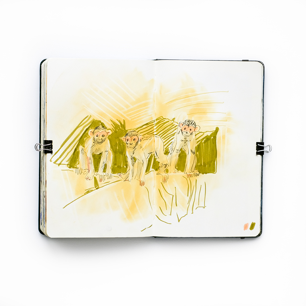 Fenne Kustermans, Illusrator's setchbook, www.Fenne.be