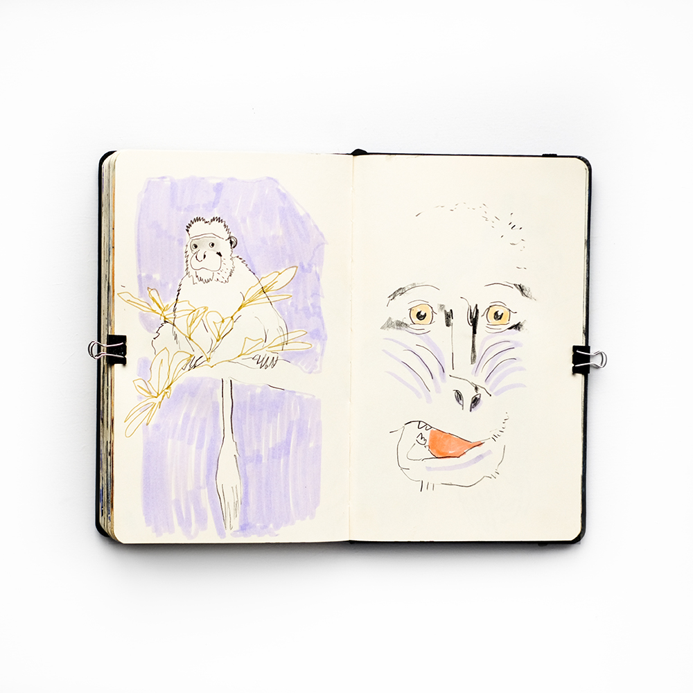 Fenne Kustermans, Illusrator's setchbook, www.Fenne.be