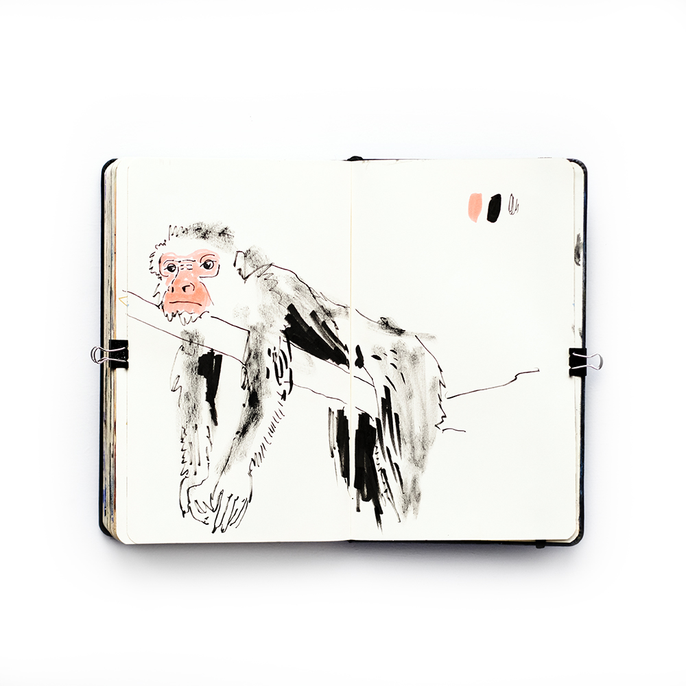 Fenne Kustermans, Illusrator's setchbook, www.Fenne.be