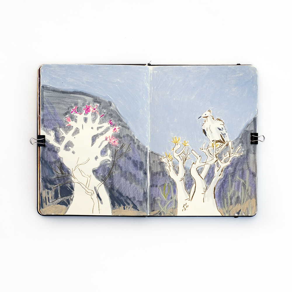 Fenne's sketchbook from March, Patreon sessions and art journal, www.Fenne.be