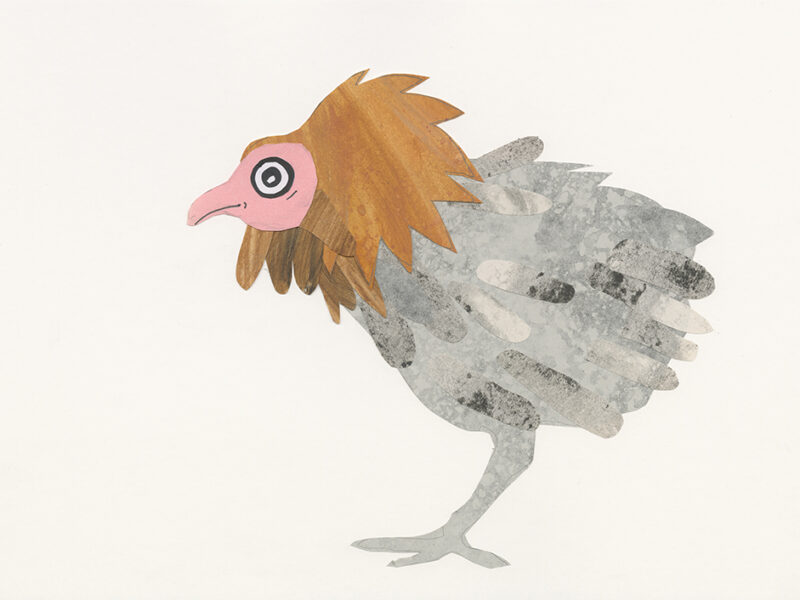 Bird collage, www.Fenne.be